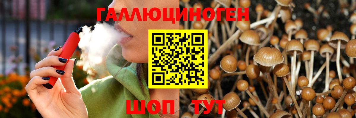 где купить наркоту  Вход с VPN  Рузаевка  Псилоцибиновые грибы Psilocybe  Псилоцибиновые грибы Psilocybine cubensis 